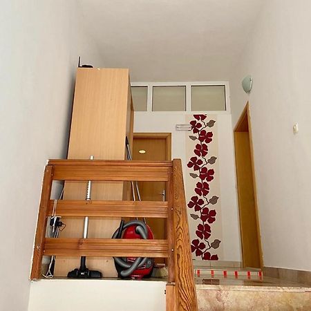 Apartments Tiho & Jelena 블라체 외부 사진